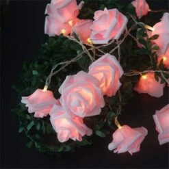 Guirlande De Roses Lumineuses à LED • Moment Cocooning -Maison Série 72280 b245a9